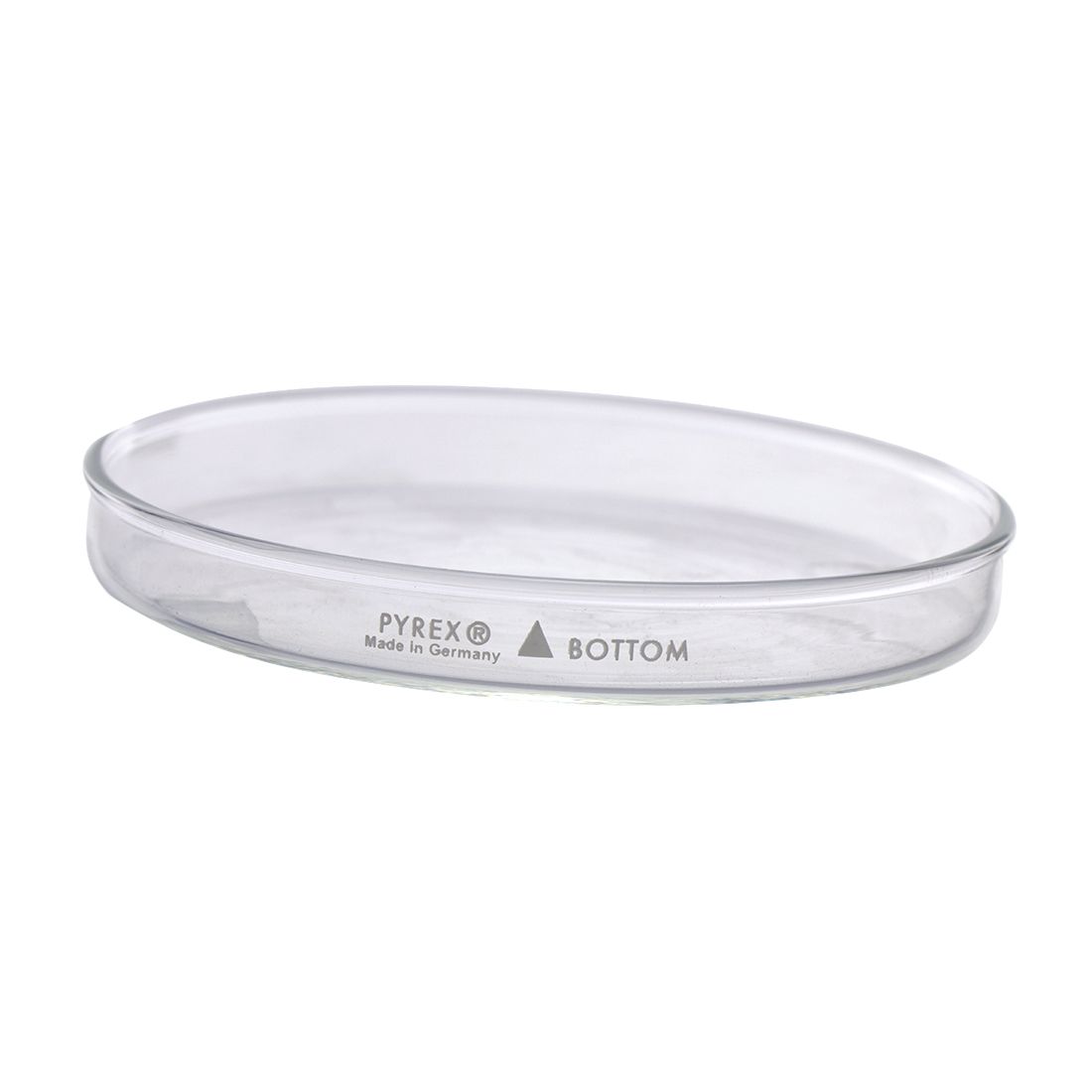Caja Petri Plato
