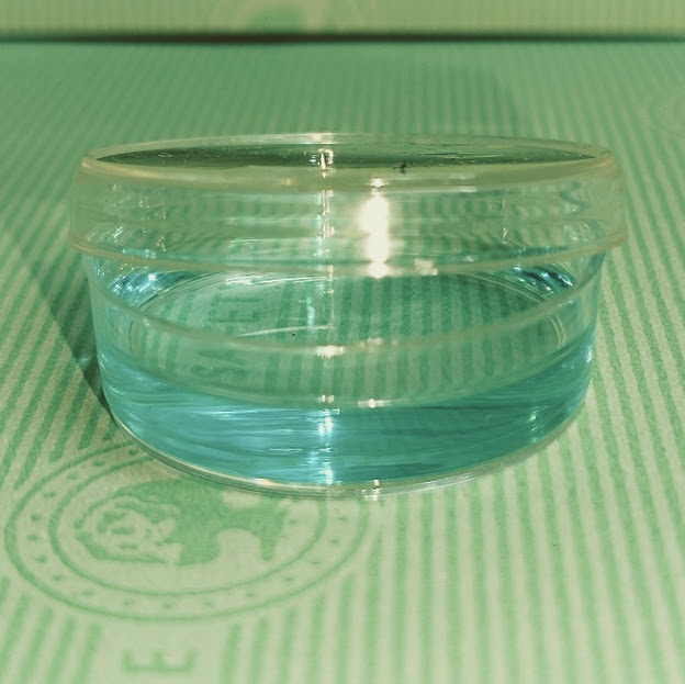 Caja Petri Plastico